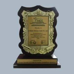 Participation trophy01